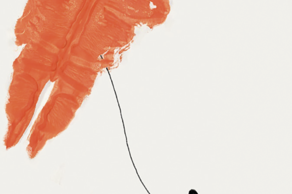 Corso di introduzione alla psicodiagnosi Rorschach